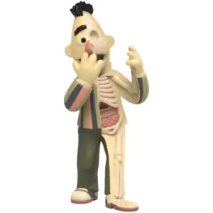 Image of XXRAY Plus 9'' Bert Retro Edition