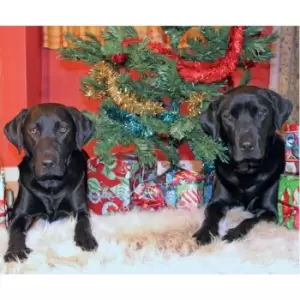 Image of Kevin Milner Christmas In Labradorland Christmas Card (One Size) (Multicoloured)