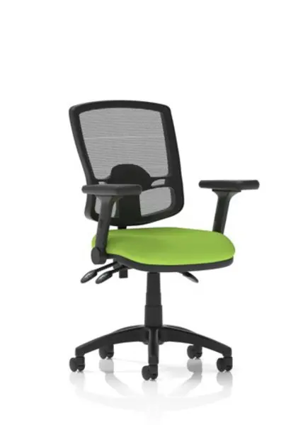 Image of Eclipse Eclipse Plus III Lever Task Operator Chair Deluxe Mesh Back With Bespoke Colour Seat In Myrrh Green with Height Adjustable and Folding Arms K