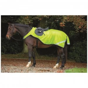 Image of Amigo Reflective Competition Sheet - Florescent