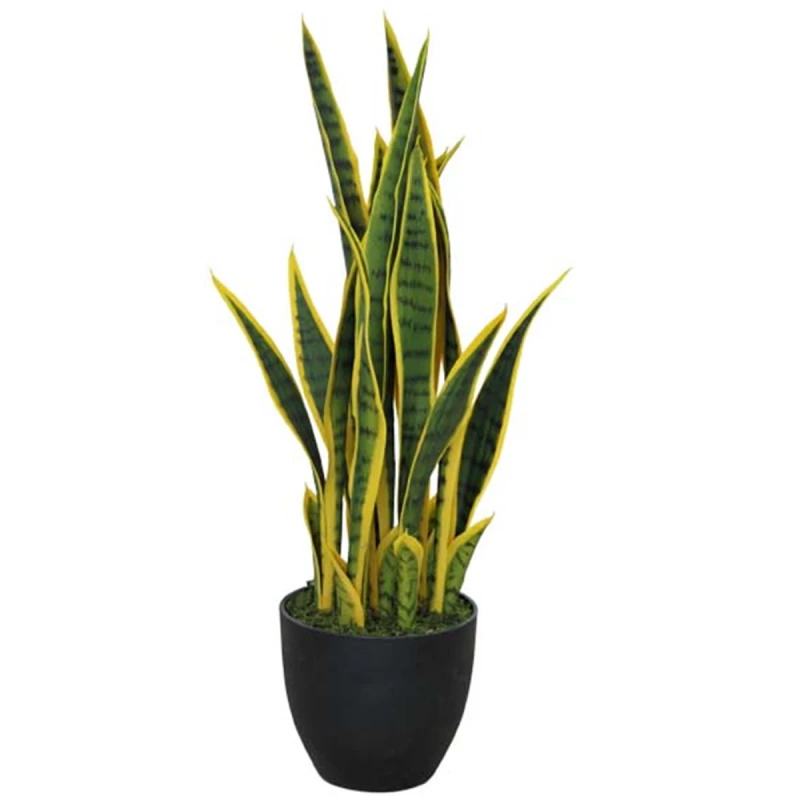 Image of N/A 70cm Artificial Sansevieria with pot