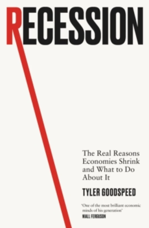 Image of Recession : The Real Reasons Economies Shrink and What to Do About It Hardback