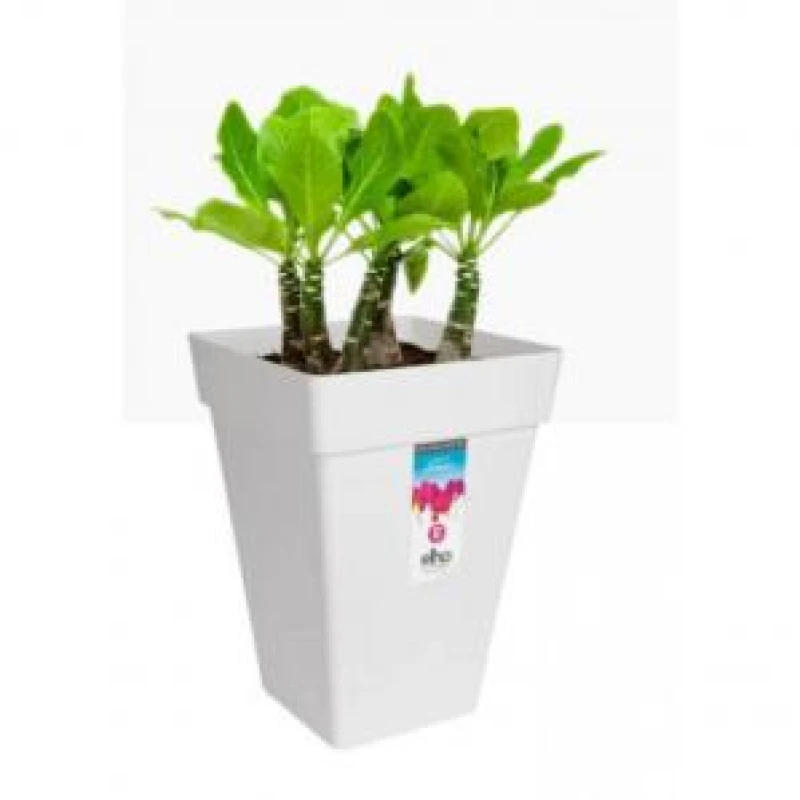 Image of Elho Loft Urban Square High 37 - White 9275103615000