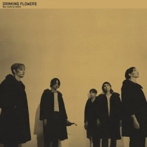 Image of New Swirled Order by Drinking Flowers CD Album