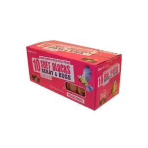 Image of Suet To Go Berry and Bugs Block Value Pack of 10