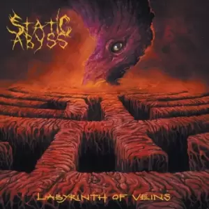 Image of Static Abyss Labyrinth of veins CD multicolor