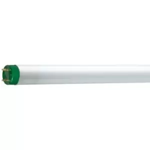 Image of Philips Master 32W 4ft T8 Tube Daylight - 26464040