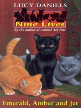 Image of Emerald Amber and Jet by Lucy Daniels Paperback