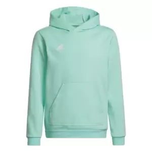 Image of adidas Entrada 22 Sweat Hoodie Kids - Clear