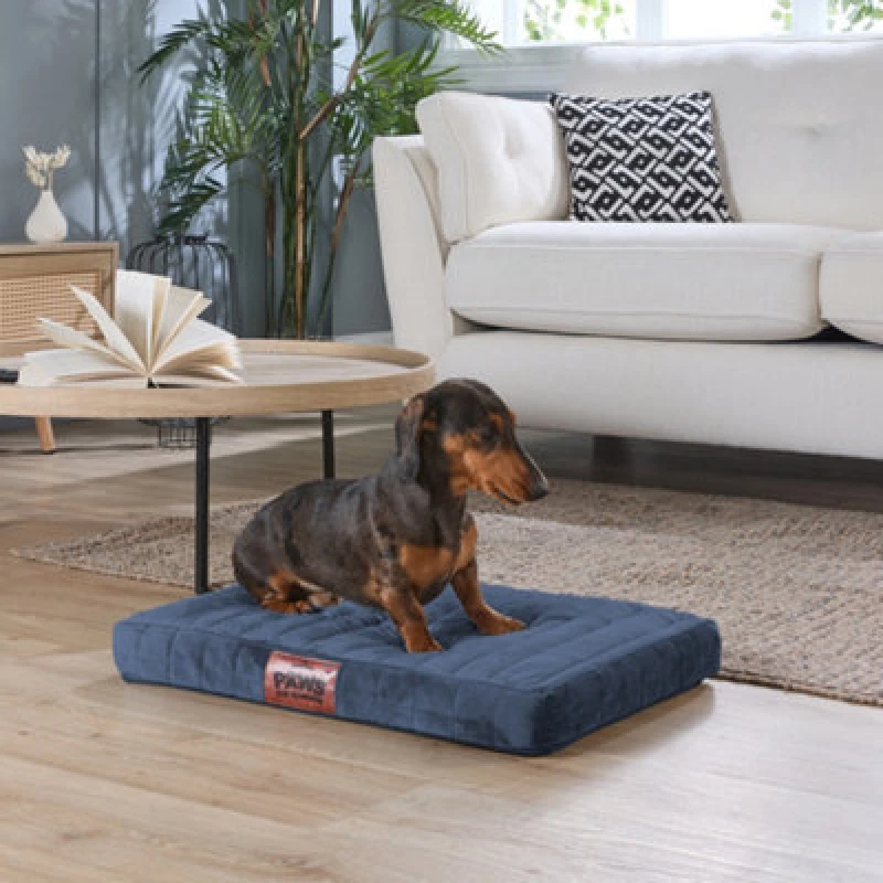 Image of Slumberdown Paws for Slumber Small Orthopedic Pet Bed Navy