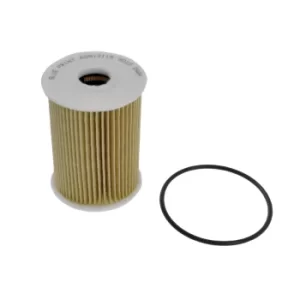 Image of Oil Filter ADN12115 by Blue Print