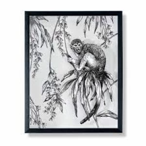 Image of Art For The Home Saimiri Monkey 40 x 50 Card, MDF Frame