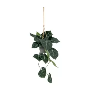 Image of Gallery Interiors Faux Trailing Caladium Green Leaves in Pot