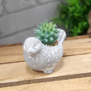Image of Decorative Bird Potted Succulent