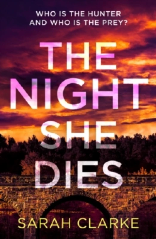Image of The Night She Dies Paperback / softback