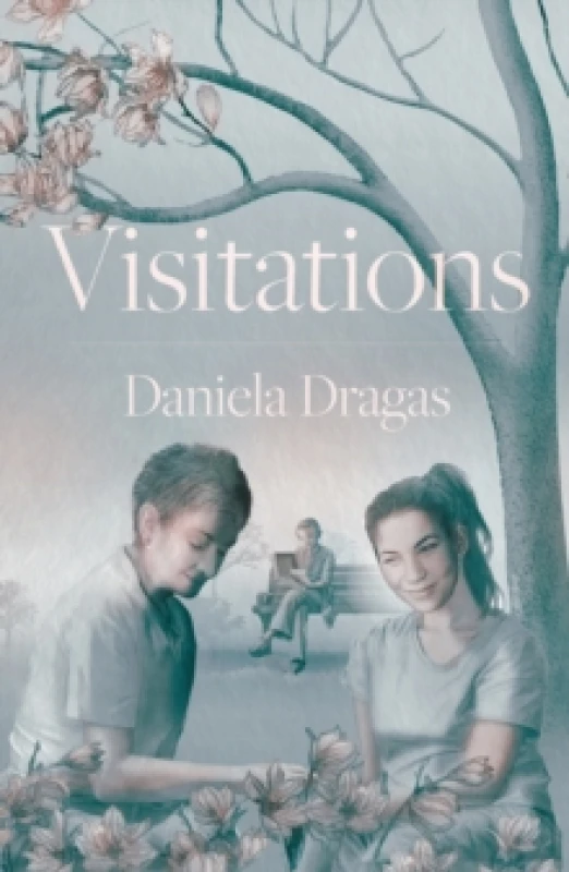 Image of Visitations Hardback