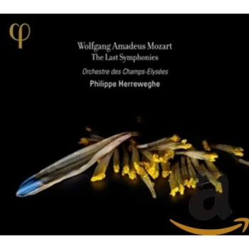 Image of Orchestre des Champs-Elys&eacute;es - Wolfgang Amadeus Mozart: The Last Symphonies CD