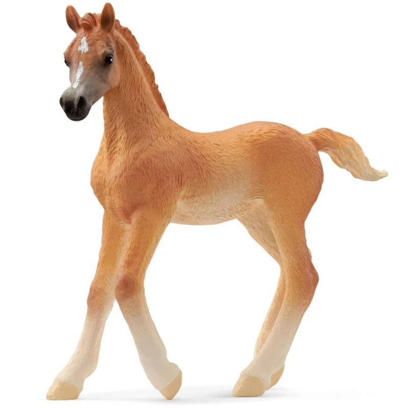 Image of Schleich Arabian Foal Multi unisex
