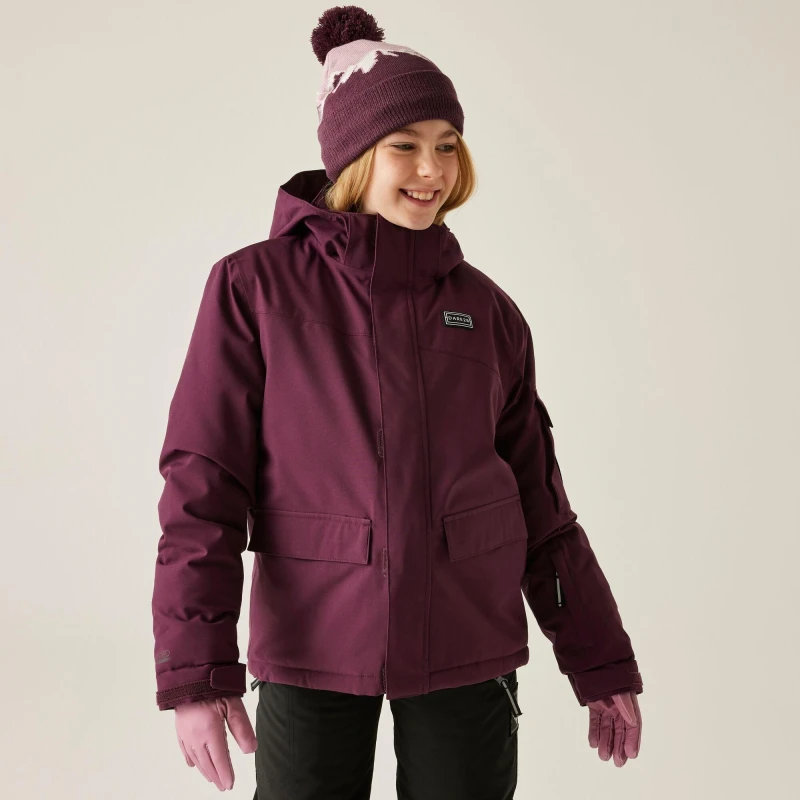 Image of Dare 2b Unisex Kids Shredder Waterproof Insulated Jacket Fig unisex 3-4yrs
