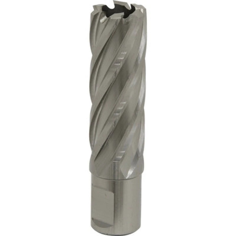 Image of Loops 21mm x 50mm Depth Rotabor Cutter - M2 Steel Annular Metal Core Drill 19mm Shank Metallics