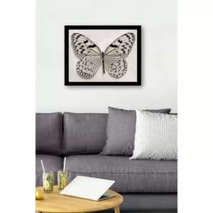 Image of SC0542 Multicolor Decorative Framed MDF Painting