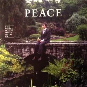 Image of The Wrong Words? - The Wrong Words Vinyl