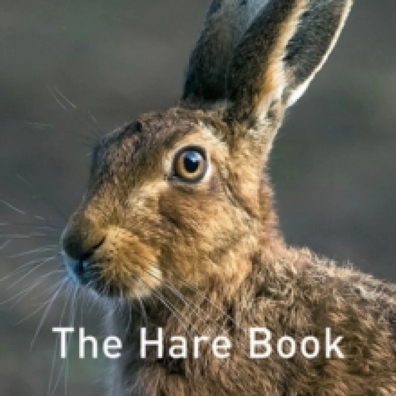 Image of Nature Book Series: The Hare Book Hardback