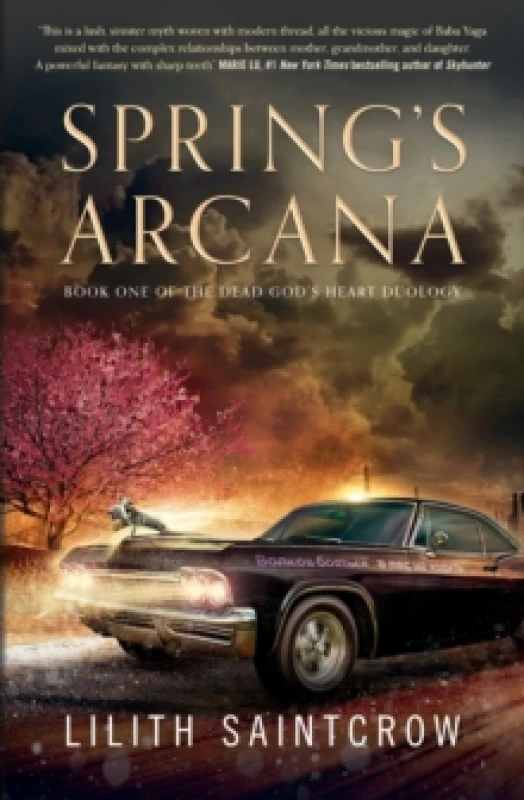 Image of springs arcana 9781250791658