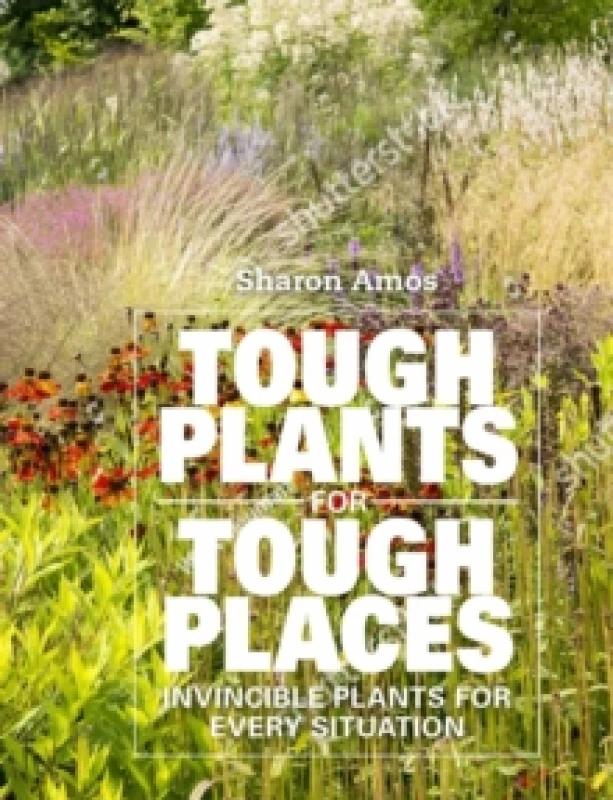 Image of Tough Plants for Tough Places : Invincible Plants for Every Situation Hardback