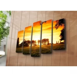 Image of 5PATK-181 Multicolor Decorative Canvas Painting (5 Pieces)