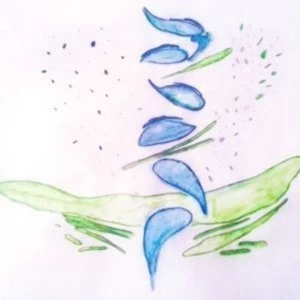 Image of Fis - Iterations Vinyl