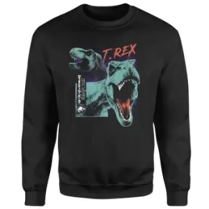 Image of Jurassic Park T-REXES Sweatshirt - Black - M