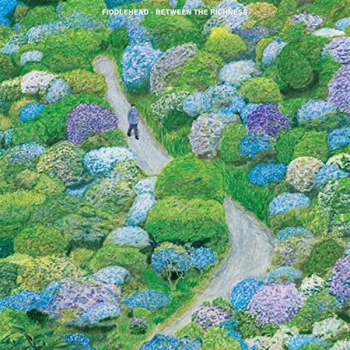 Image of Fiddlehead - Between The Richness CD