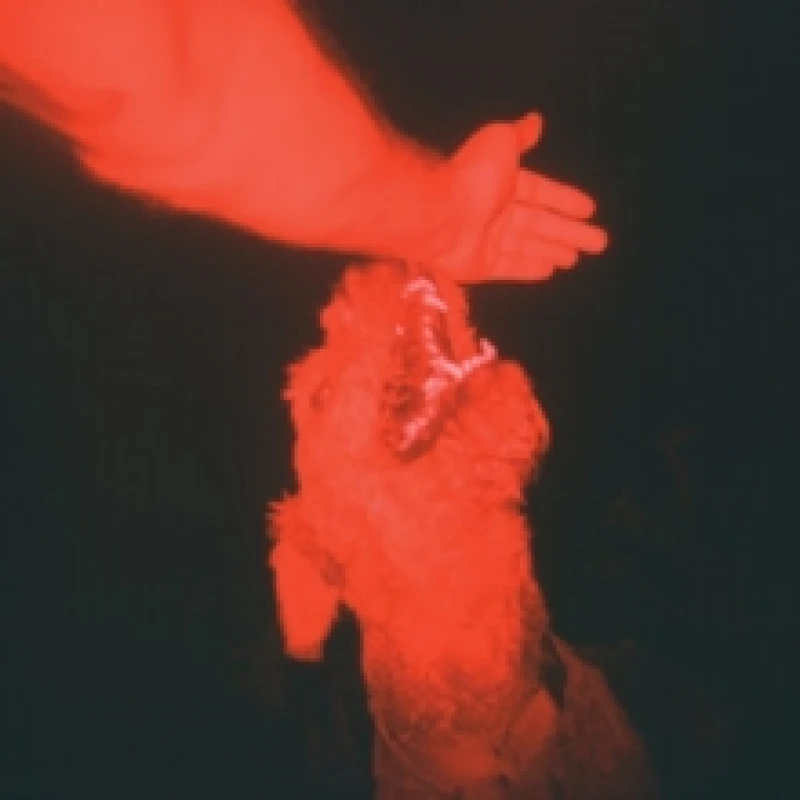 Image of A Trick of the Light Vinyl