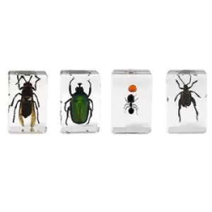 Image of Celestron 3D Bug Specimen Kit #5