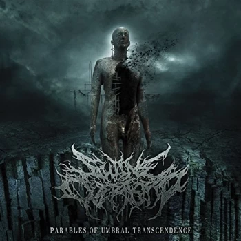 Image of Swine Overlord - Parables of Umbral Transcendence CD