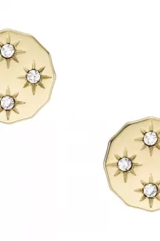 Image of Ladies Fossil Jewellery Sutton Earrings JF04381710