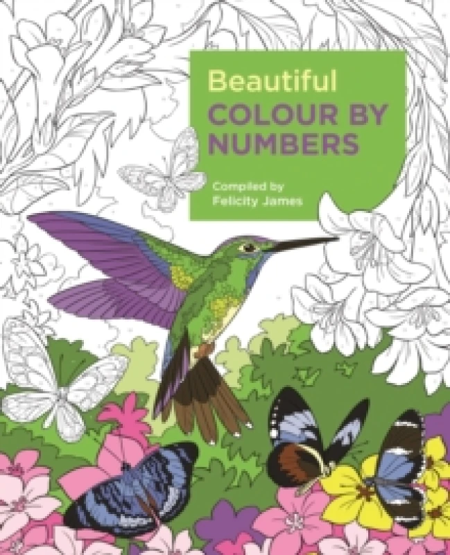 Image of Felicity James Beautiful Colour by Numbers Book Multi