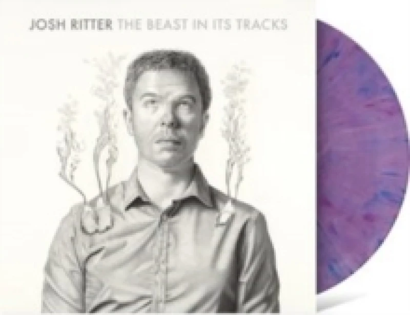 Image of The beast in its tracks Vinyl