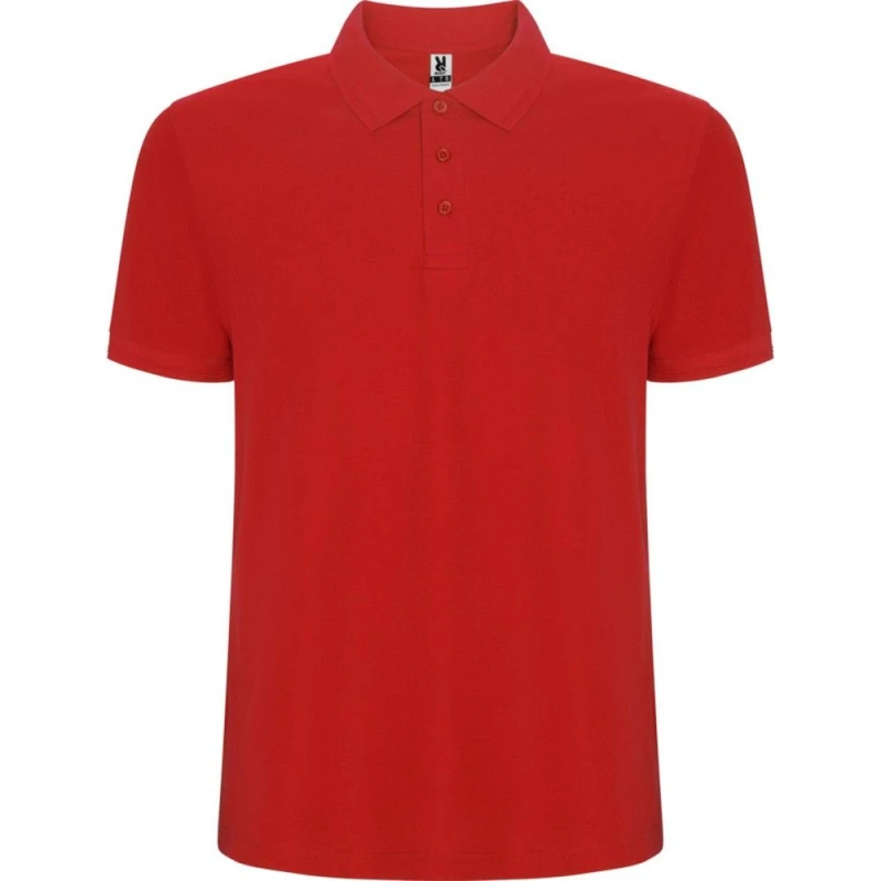 Image of Roly Pegaso Premium boys's Children's polo shirt in Red