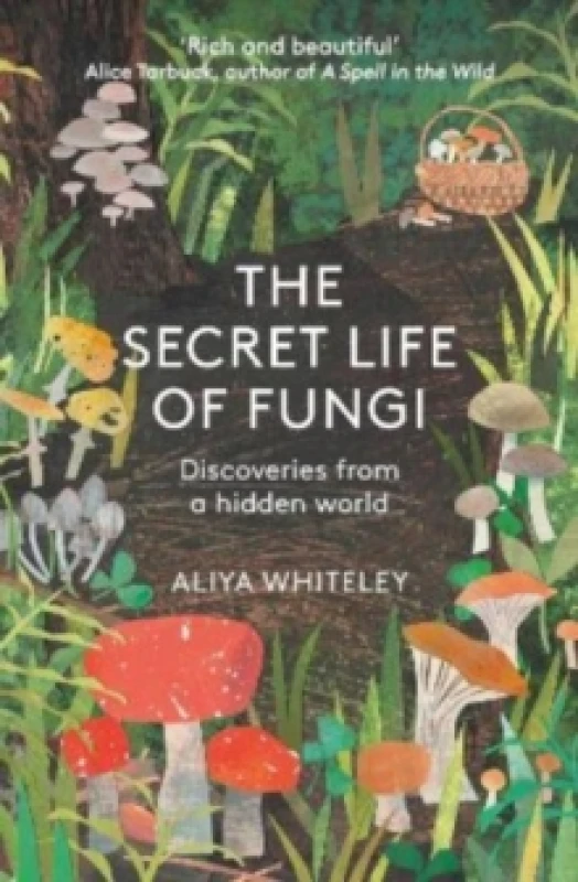 Image of The Secret Life of Fungi : Discoveries From a Hidden World Paperback / softback