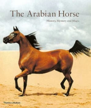 Image of The Arabian Horse by Hossein Amirsadeghi Paperback
