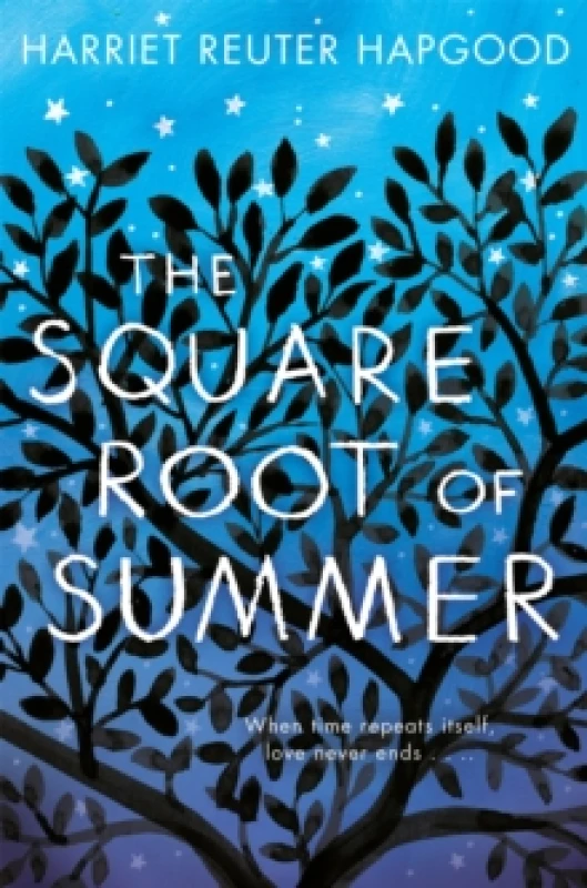 Image of The Square Root of Summer Paperback / softback