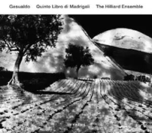 Image of Gesualdo Quinto Libro Di Madrigali by Carlo Gesualdo CD Album