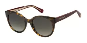 Image of Tommy Hilfiger Sunglasses TH 1885/S 05L/HA
