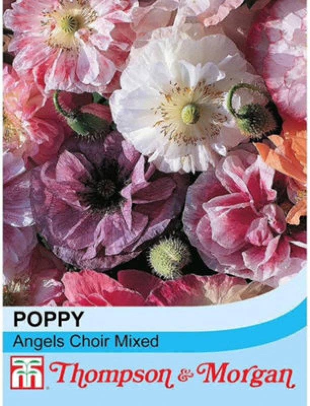 Image of Thompson & Morgan Poppy Angels Choir Mixed 1 Seed Packet (250 Seeds)