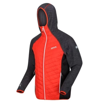 Image of Regatta AndresonVI Hybrid Insulated Jacket - CajunOr/Rhin