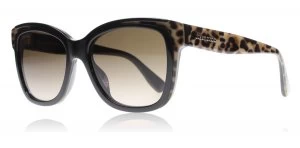 Image of Jimmy Choo Bebi/S Sunglasses Black / Brown PUEJ6 53mm