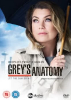 Image of Grey's Anatomy - Season 12