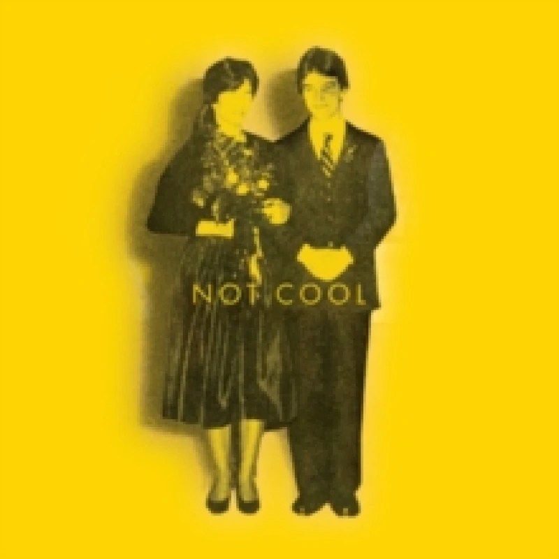 Image of Not cool CD / Album